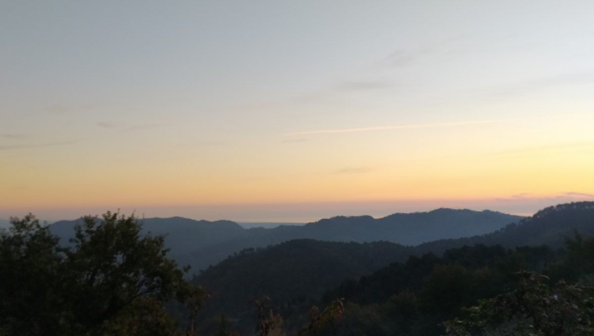 Ausblick